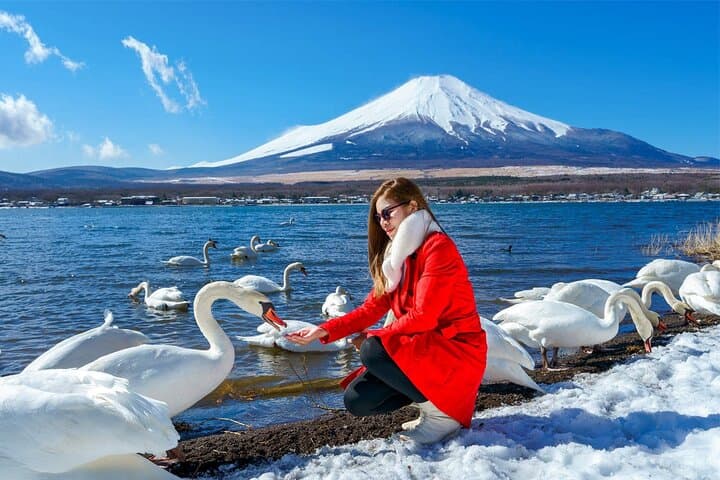 Mt Fuji and Izu Deep View 2 Day Tour from Tokyo — photo 5