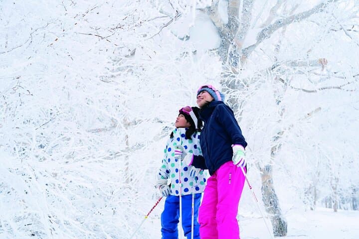 Autumn Leaves in AutumnSkiing in winterLet's go to Hoheikyo Onsen by private car (from Sapporo) — photo 11