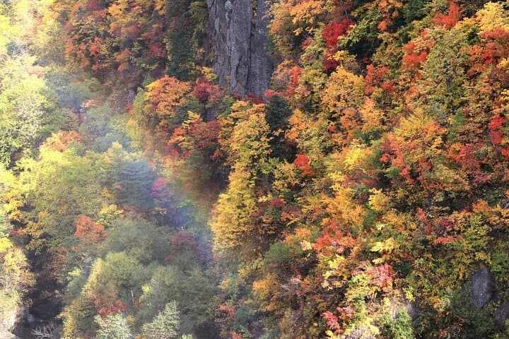 Autumn Leaves in AutumnSkiing in winterLet's go to Hoheikyo Onsen by private car (from Sapporo) — photo 4