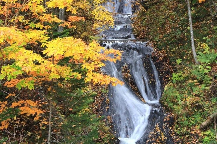 Autumn Leaves in AutumnSkiing in winterLet's go to Hoheikyo Onsen by private car (from Sapporo) — photo 12