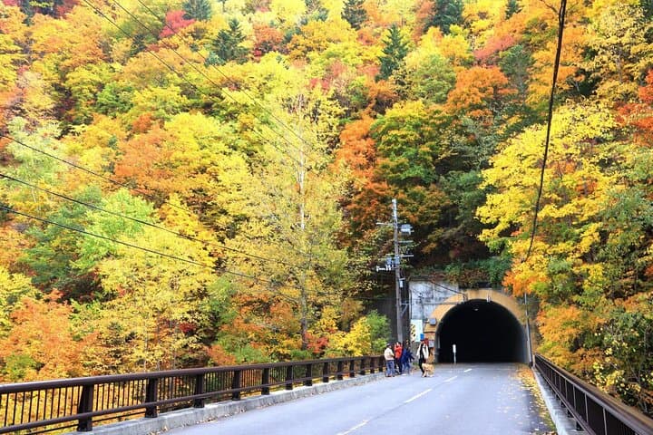 Autumn Leaves in AutumnSkiing in winterLet's go to Hoheikyo Onsen by private car (from Sapporo) — photo 14