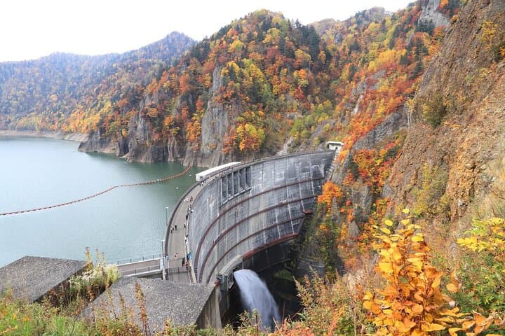 Autumn Leaves in AutumnSkiing in winterLet's go to Hoheikyo Onsen by private car (from Sapporo) — photo 15