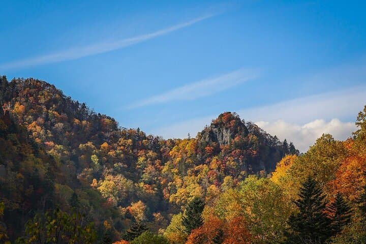 Autumn Leaves in AutumnSkiing in winterLet's go to Hoheikyo Onsen by private car (from Sapporo) — photo 17