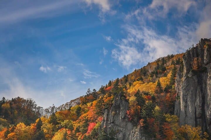Autumn Leaves in AutumnSkiing in winterLet's go to Hoheikyo Onsen by private car (from Sapporo) — photo 18