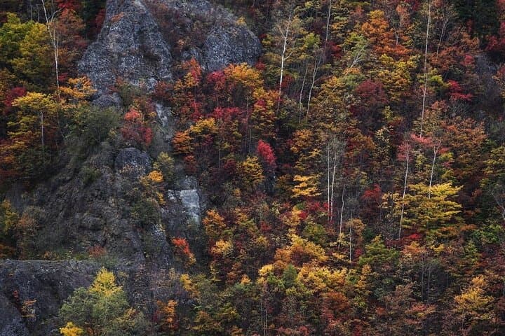 Autumn Leaves in AutumnSkiing in winterLet's go to Hoheikyo Onsen by private car (from Sapporo) — photo 19