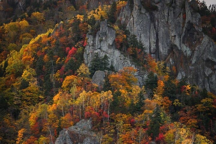 Autumn Leaves in AutumnSkiing in winterLet's go to Hoheikyo Onsen by private car (from Sapporo) — photo 20