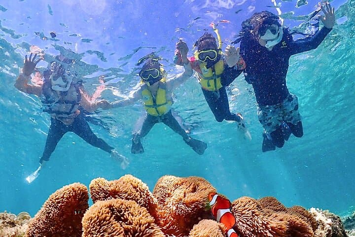 Miyakojima:Snorkeling｜Pick-up OK｜sea turtles & Fish and coral — photo 8