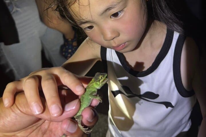 Miyakojima:Night tour ｜Pick-up OK｜Jungle night tour & Starry sky — photo 5