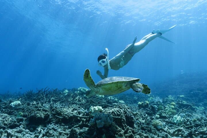 Private snorkeling tour Ishigaki island — photo 2