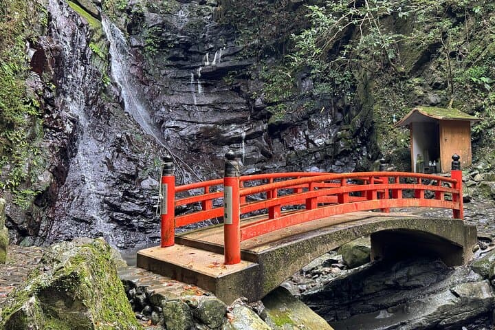 Near KIX: Mt. Inunaki Shugendo Waterfall Hiking Guided Tour — photo 6