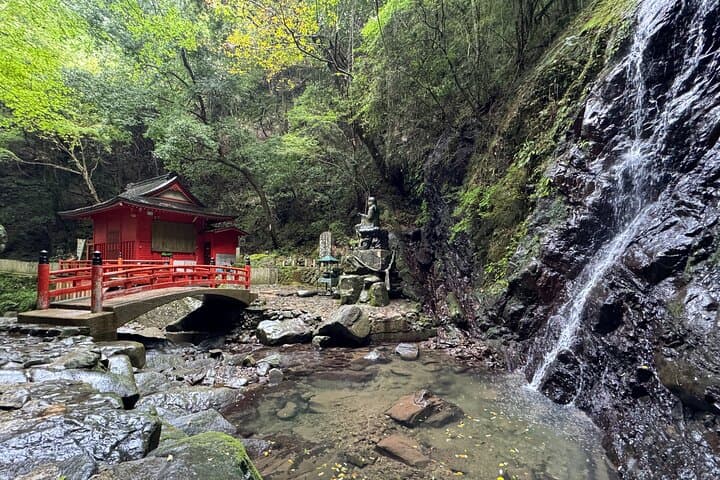Near KIX: Mt. Inunaki Shugendo Waterfall Hiking Guided Tour — photo 8