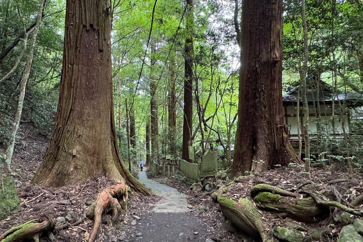 Near KIX: Mt. Inunaki Shugendo Waterfall Hiking Guided Tour — photo 10