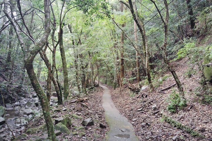 Near KIX: Mt. Inunaki Shugendo Waterfall Hiking Guided Tour — photo 14