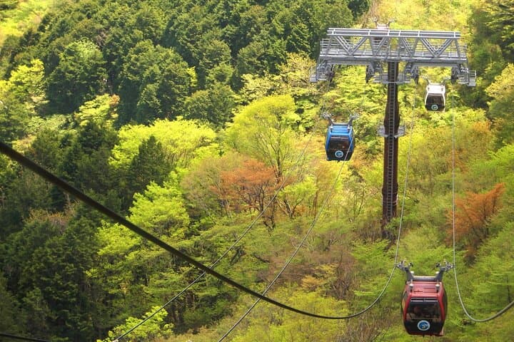 Mt Fuji Tour from Shimizu Port by Private Car — photo 8