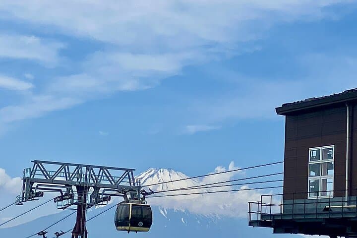 Mt Fuji Tour from Shimizu Port by Private Car — photo 7