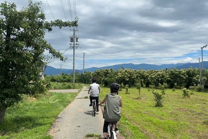 Explore Hidden Japan: Obuse Bike Tour & Orchard Picnic — photo 5