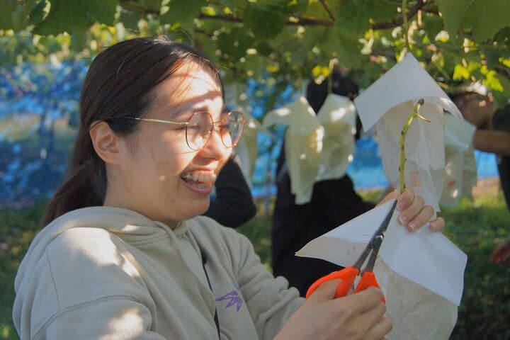 Explore Hidden Japan: Obuse Bike Tour & Orchard Picnic — photo 7