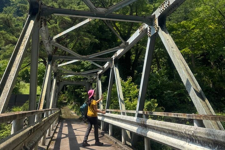 Hakone Valley Hike, Forest Bathing and Wagashi shop (Half-day) — photo 11