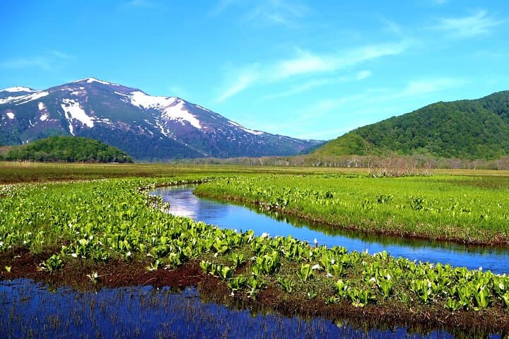 From Tokyo Day Trip Hiking Adventure in Oze National Park — photo 6