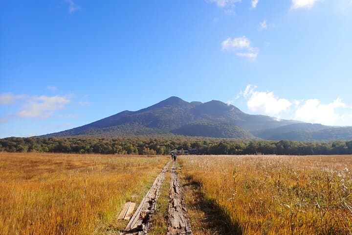 From Tokyo Day Trip Hiking Adventure in Oze National Park — photo 15