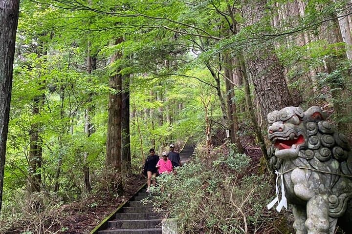Private Hiking Tour to View Mt. Fuji — photo 4