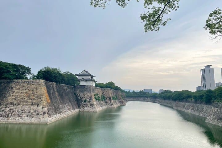 Osaka Full-Day Experience with Castle, Kushikastu and Temple — photo 8
