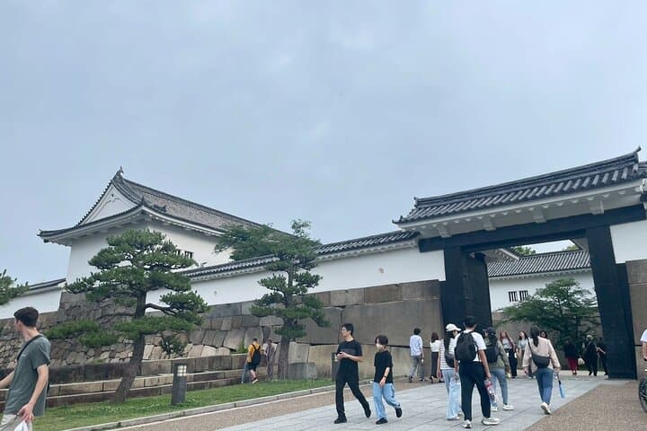 Osaka Full-Day Experience with Castle, Kushikastu and Temple — photo 9