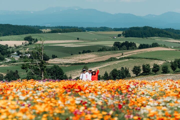 Wherever you want! 1-Day Private Tour from Sapporo to Furano more — photo 7
