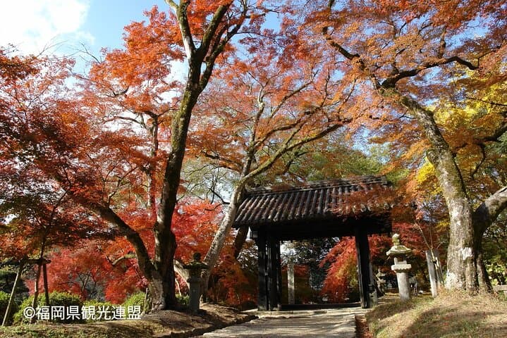 YokaBus Kirin Beer Fukuoka, Akizuki Castle and Hikosan Slopecar — photo 12