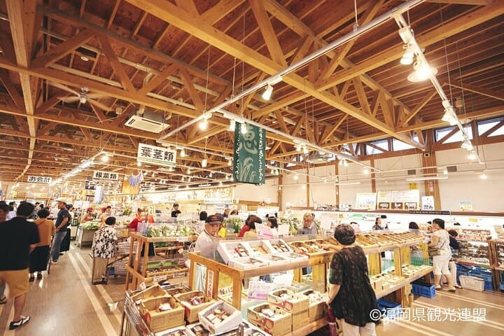 YokaBus Fukuoka Uminonakamichi, Strawberry Farm and Chinkokuji — photo 15