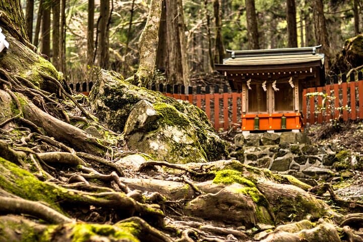 Kyoto: Bask in the Sacred Nature and Rich History in Kifune — photo 8