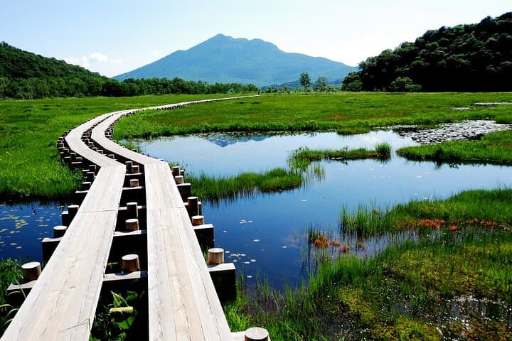 From Tokyo Oze National Park Day Hike with Overnight Bus — photo 5