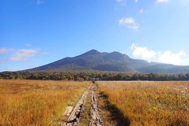 From Tokyo Oze National Park Day Hike with Overnight Bus — photo 11