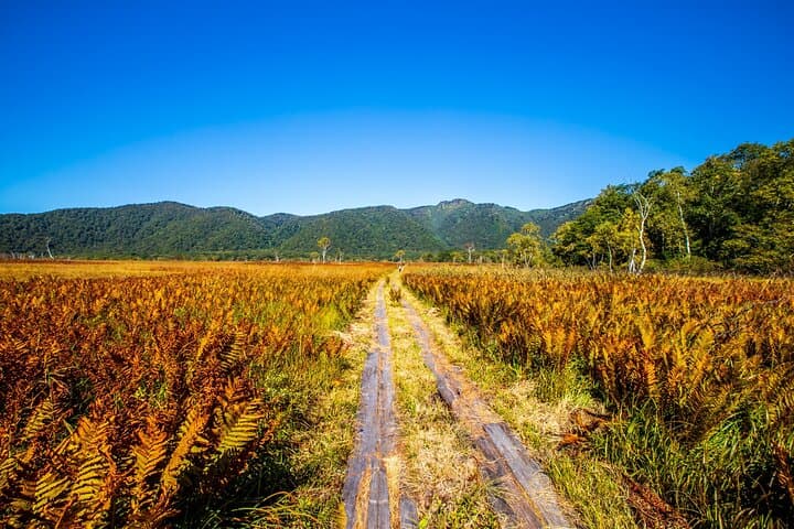 From Tokyo Oze National Park Day Hike with Overnight Bus — photo 14