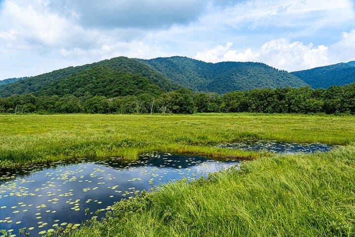 From Tokyo Oze National Park Day Hike with Overnight Bus — photo 7
