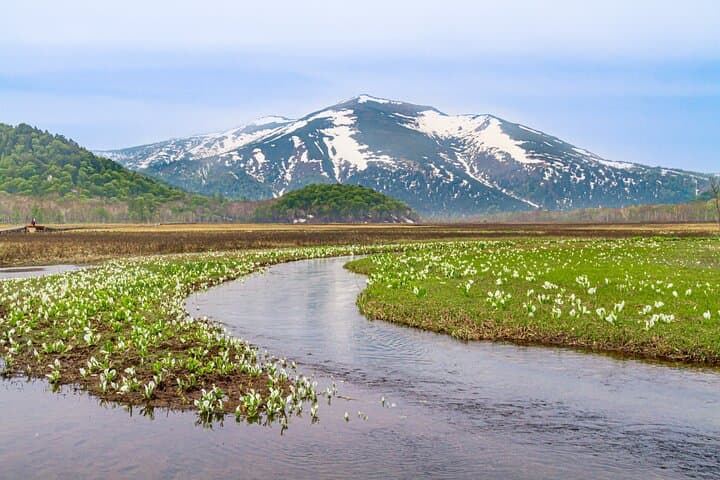 From Tokyo Oze National Park Day Hike with Overnight Bus — photo 8