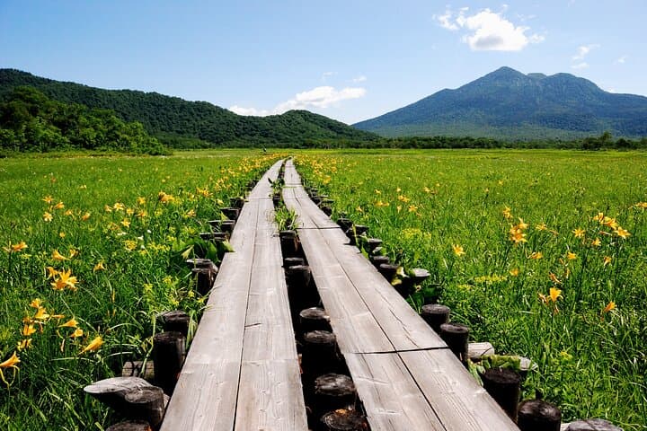 From Tokyo Oze National Park Day Hike with Overnight Bus — photo 9