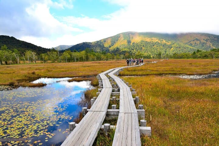 From Tokyo Oze National Park Day Hike with Overnight Bus — photo 13
