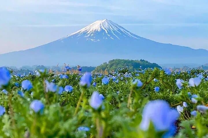 Mt Fuji Pilgrimage Full Day Tour with 7 Must See Scenic Spots — photo 1