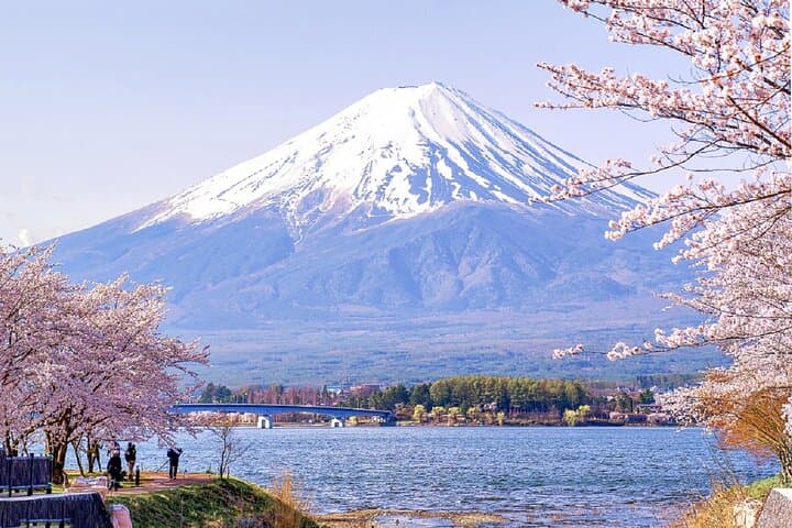 Mt Fuji Pilgrimage Full Day Tour with 7 Must See Scenic Spots — photo 8