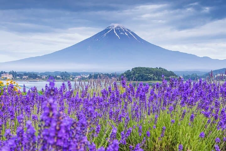 Mt Fuji Pilgrimage Full Day Tour with 7 Must See Scenic Spots — photo 4