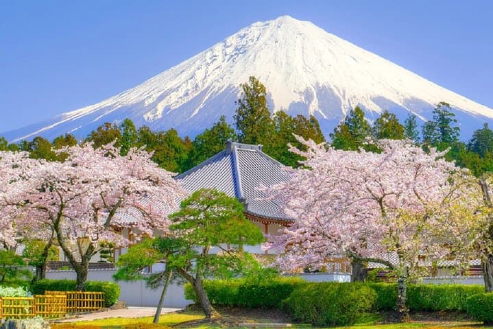 Mt Fuji Pilgrimage Full Day Tour with 7 Must See Scenic Spots — photo 10