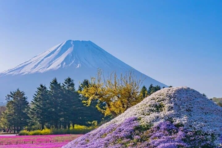 Mt Fuji Pilgrimage Full Day Tour with 7 Must See Scenic Spots — photo 16