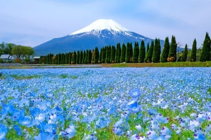 Mt Fuji Pilgrimage Full Day Tour with 7 Must See Scenic Spots — photo 18