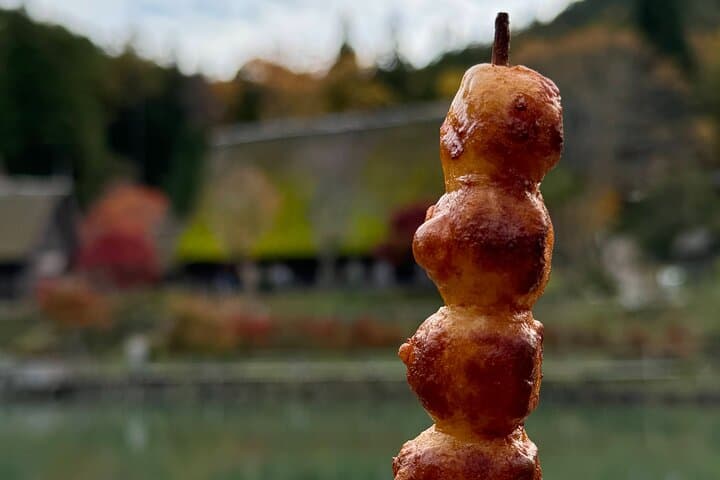 Hida Folk Village Guided Tour with Bus Transfer in Takayama — photo 9