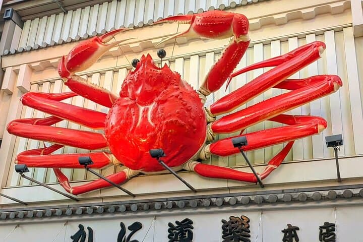 Osaka Highlight Tour: 3-Hour Walking Tour of Osaka — photo 8