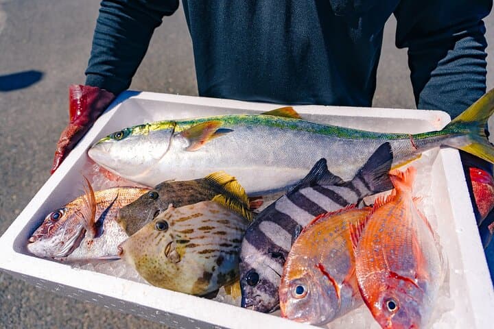 Savor Setouchi inland sea Local Food & Bike Tour with Local Guide — photo 13