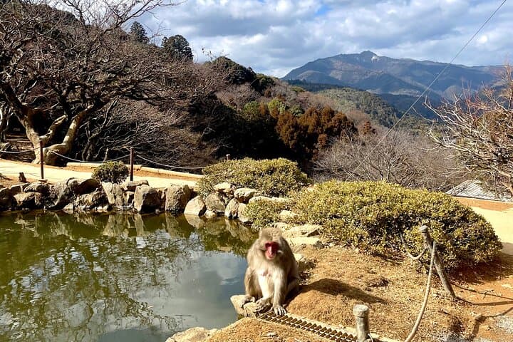 Bamboo Grove Temple and Garden Views Tour — photo 17