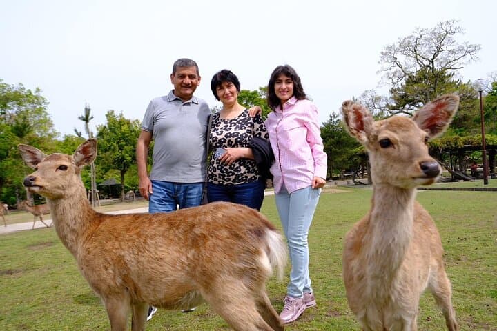 Nara Explore Top Highlights by Private Walking Tour — photo 2