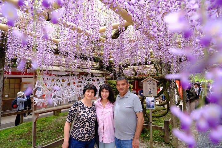 Nara Explore Top Highlights by Private Walking Tour — photo 3